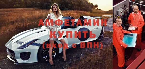 прущие грибы Беломорск