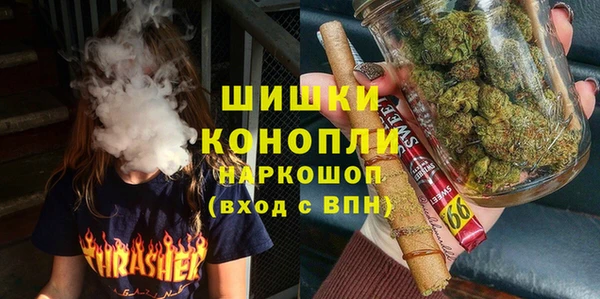 прущие грибы Беломорск