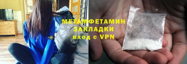 прущие грибы Беломорск