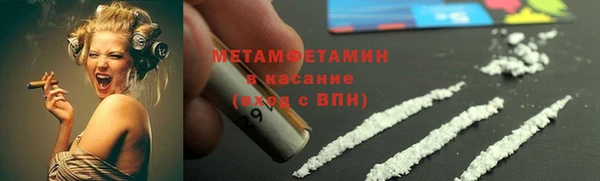 прущие грибы Беломорск