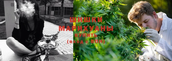 прущие грибы Беломорск