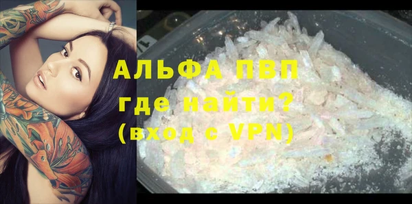 прущие грибы Беломорск