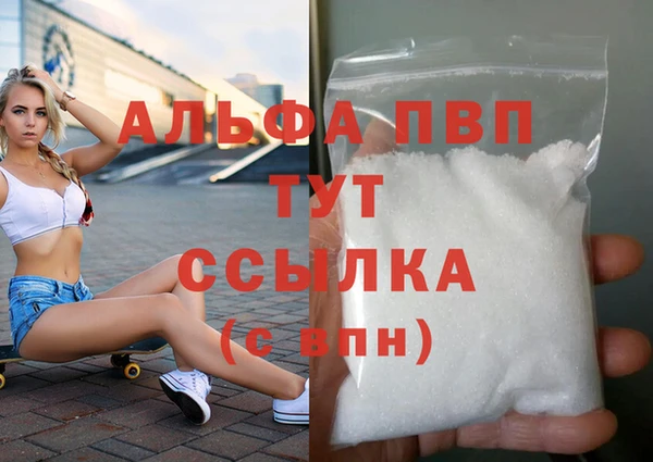 прущие грибы Беломорск