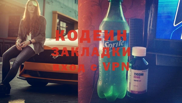 прущие грибы Беломорск