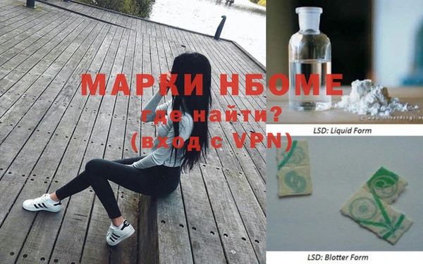 прущие грибы Беломорск
